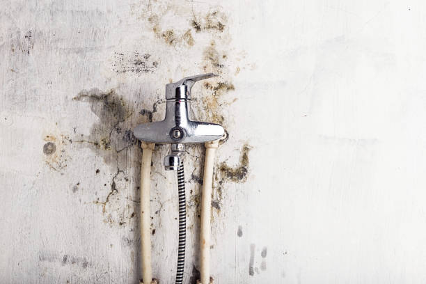Best Certified Mold Removal  in Laguna Niguel, CA