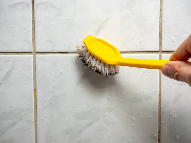 Best Local Mold Removal Service  in Laguna Niguel, CA