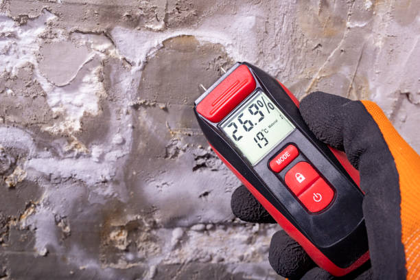 Best Black Mold Removal  in Laguna Niguel, CA